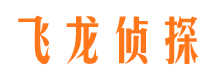 横峰市侦探调查公司